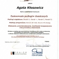 Powiększ obraz: certificate 21