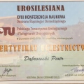 Powiększ obraz: certificate 7