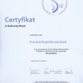 Powiększ obraz: certificate 11