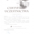 Powiększ obraz: certificate 18