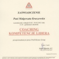 Powiększ obraz: certificate 8