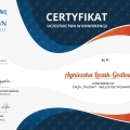 Powiększ obraz: certificate 3