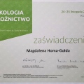 Powiększ obraz: certificate 58