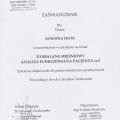 Powiększ obraz: certificate 23