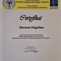 Powiększ obraz: certificate 2