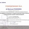 Powiększ obraz: certificate 19