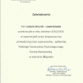 Powiększ obraz: certificate 4