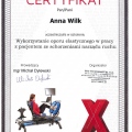 Powiększ obraz: certificate 12