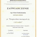 Powiększ obraz: certificate 16