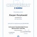Powiększ obraz: certificate 2