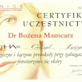 Powiększ obraz: certificate 6