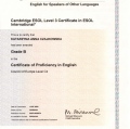 Powiększ obraz: certificate 1