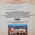 Powiększ obraz: certificate 2