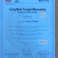 Powiększ obraz: certificate 1