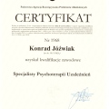 Powiększ obraz: certificate 1