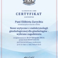 Powiększ obraz: certificate 2