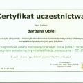 Powiększ obraz: certificate 29