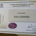 Powiększ obraz: certificate 3
