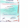 Powiększ obraz: certificate 10