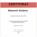Powiększ obraz: certificate 13