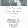 Powiększ obraz: certificate 4