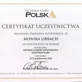 Powiększ obraz: certificate 1