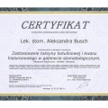 Powiększ obraz: certificate 22