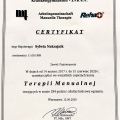 Powiększ obraz: certificate 2