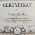 Powiększ obraz: certificate 11