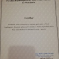 Powiększ obraz: certificate 36