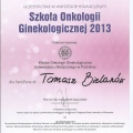 Powiększ obraz: certificate 14