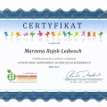 Powiększ obraz: certificate 7