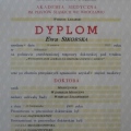 Powiększ obraz: certificate 1