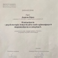 Powiększ obraz: certificate 7