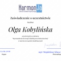 Powiększ obraz: certificate 12