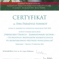 Powiększ obraz: certificate 5
