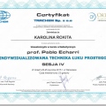 Powiększ obraz: certificate 9