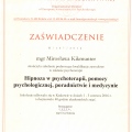Powiększ obraz: certificate 5
