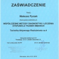 Powiększ obraz: certificate 13