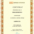 Powiększ obraz: certificate 19