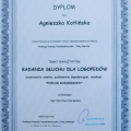 Powiększ obraz: certificate 8