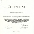 Powiększ obraz: certificate 29