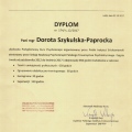 Powiększ obraz: certificate 3