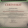 Powiększ obraz: certificate 11