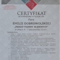 Powiększ obraz: certificate 4