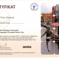 Powiększ obraz: certificate 34