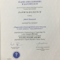 Powiększ obraz: certificate 41