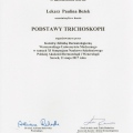 Powiększ obraz: certificate 4