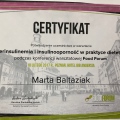 Powiększ obraz: certificate 2