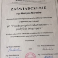 Powiększ obraz: certificate 9